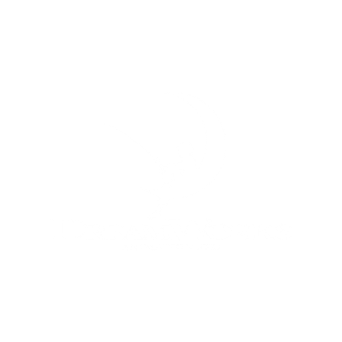 dreamworks-logo-white